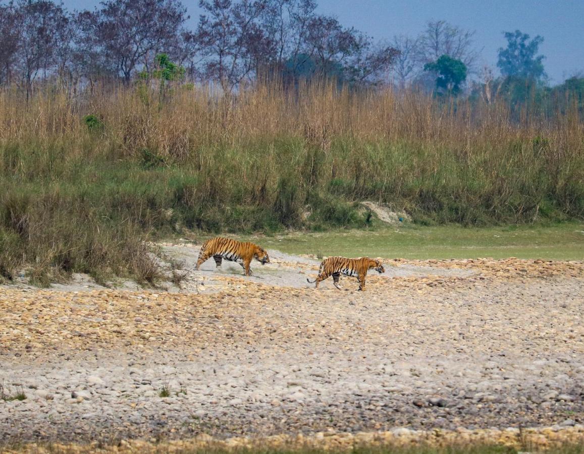 Bardia Wildlife Resort Bardiya Екстер'єр фото