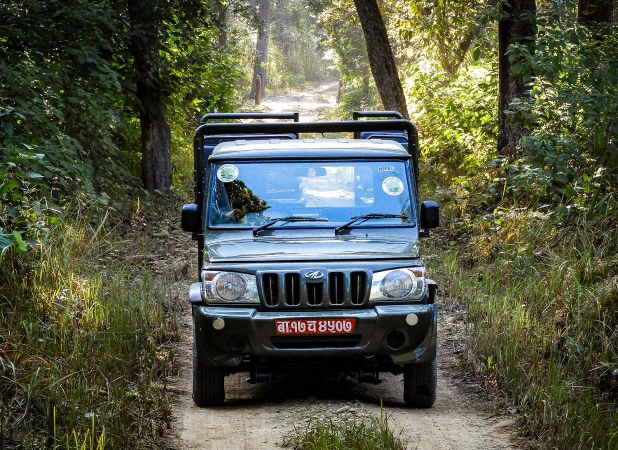 Bardia Wildlife Resort Bardiya Екстер'єр фото