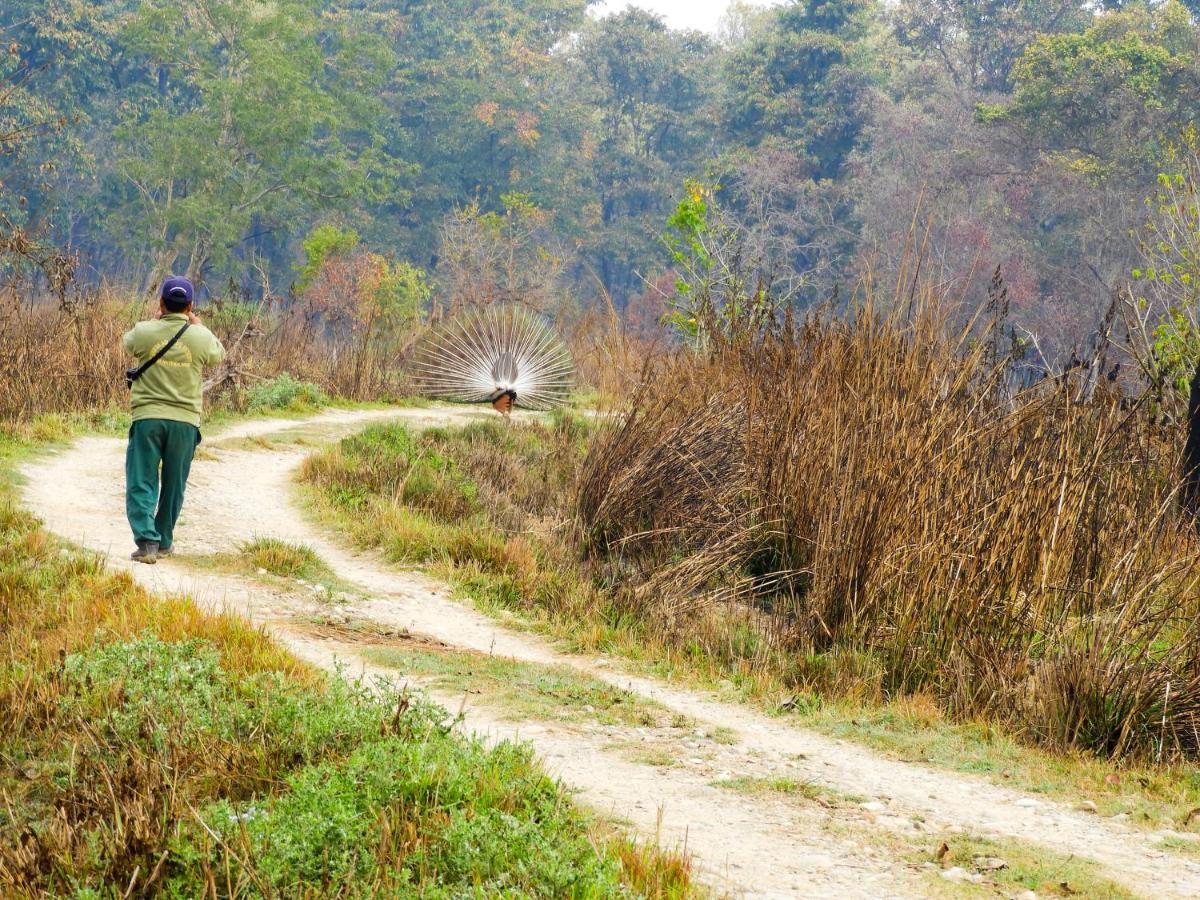 Bardia Wildlife Resort Bardiya Екстер'єр фото