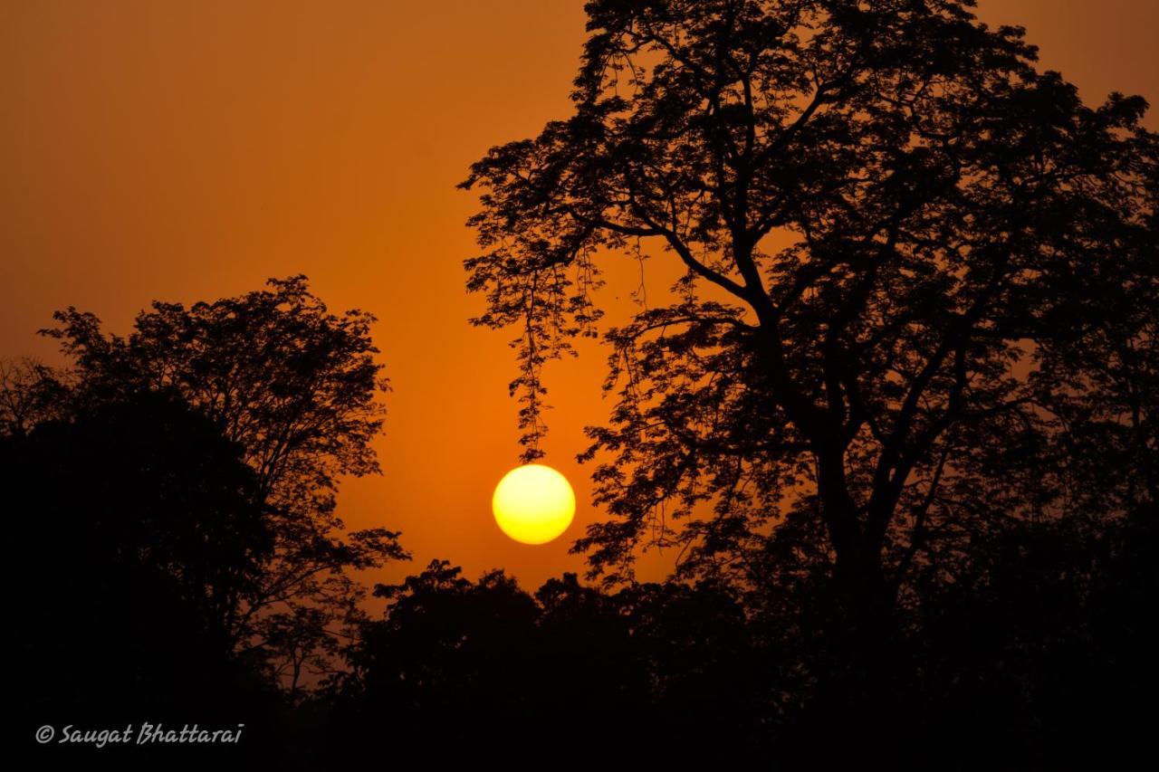 Bardia Wildlife Resort Bardiya Екстер'єр фото