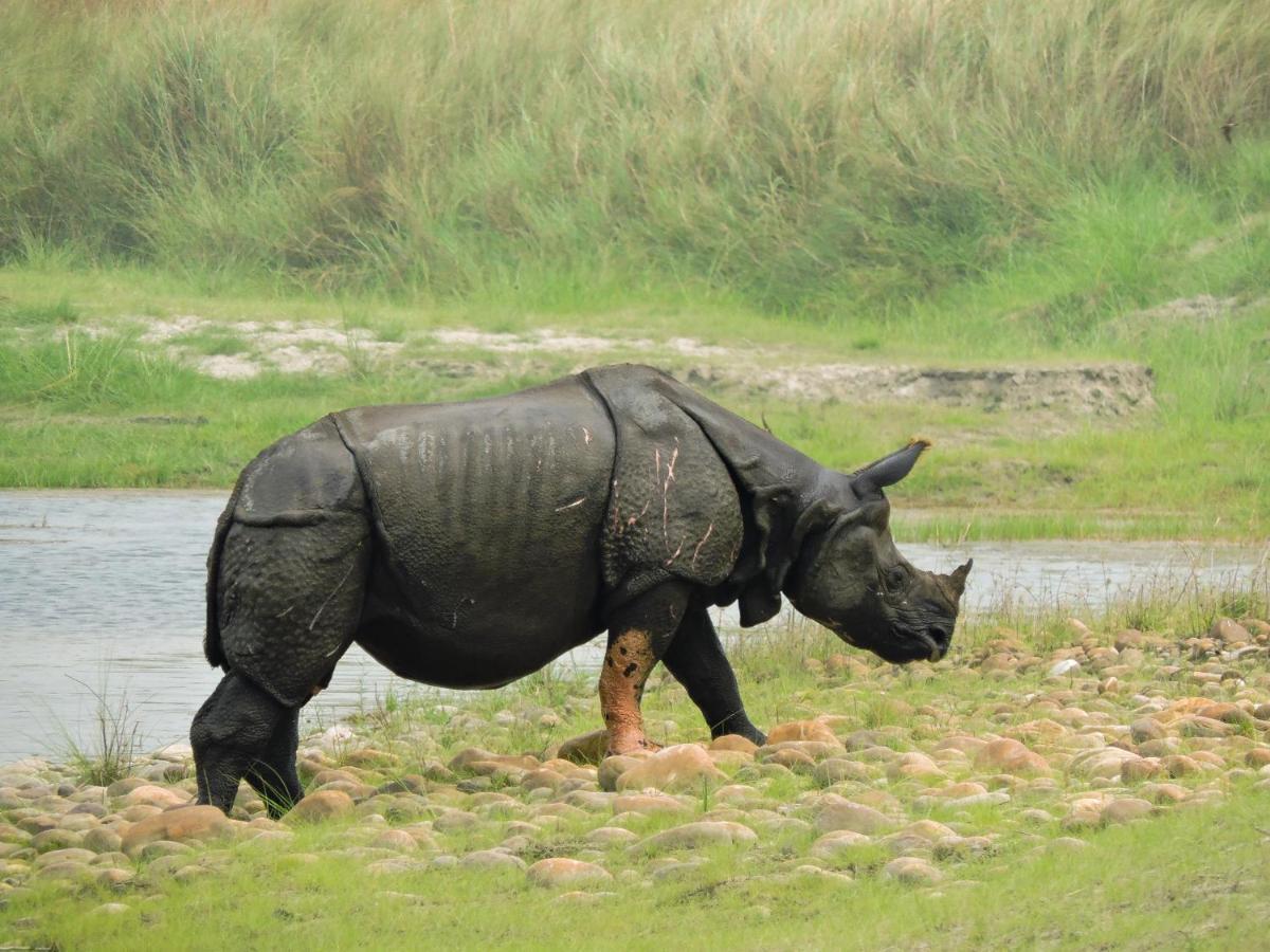 Bardia Wildlife Resort Bardiya Екстер'єр фото